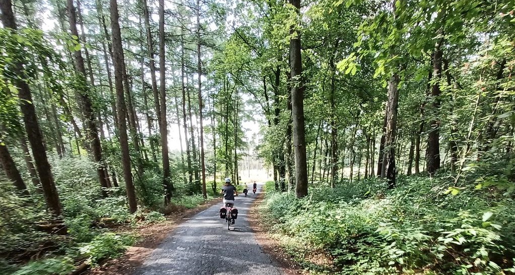 Radfahren im Wald